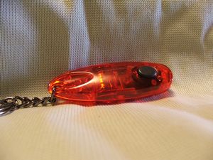 Single LED Key Ring Torch from GizGeek