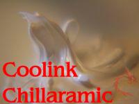 Coolink Chillaramic Thermal Compound