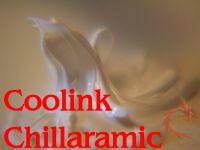 Coolink Chillaramic Thermal Compound Coolink Chillaramic Thermal Compound