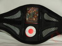 Armband & Sport Case for iPod Nano 4th Gen
