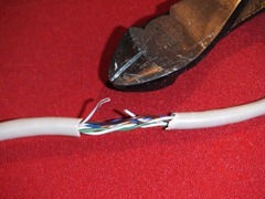 uetester33