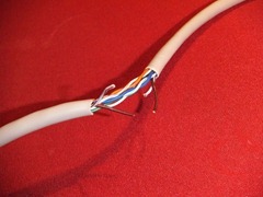 uetester35