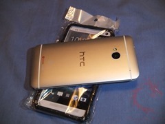 dillo1