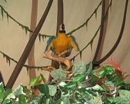 Pepcom  &ndash; Digital Experience June 2008 Coverage 