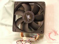 kingwin12025c6 kingwin12025c6