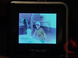 tao17