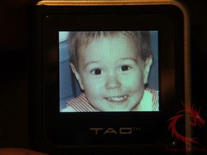 tao20