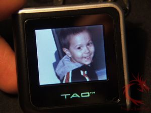 tao22