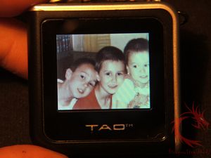 tao23