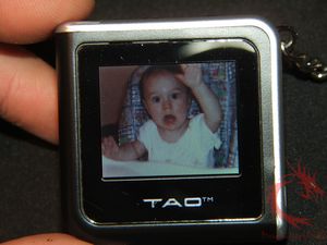 tao26