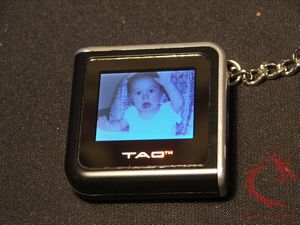 tao28