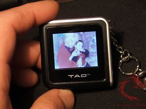 tao31