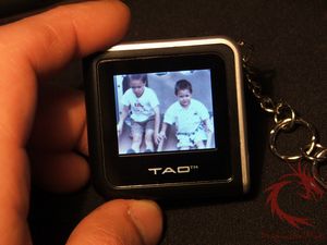 tao32