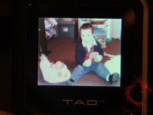 tao35