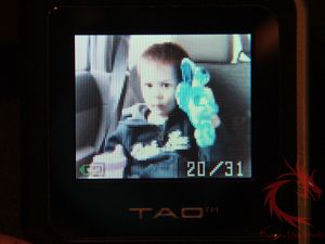 tao36