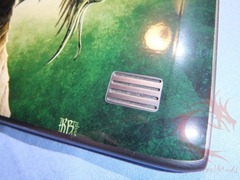 skin11