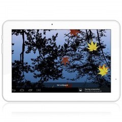 1386961888883-P-1346509